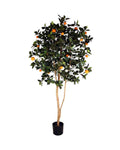 P1610-ORANGE TREE