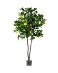 P1611-LEMON TREE