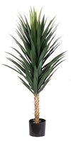 P1634-4.5GN