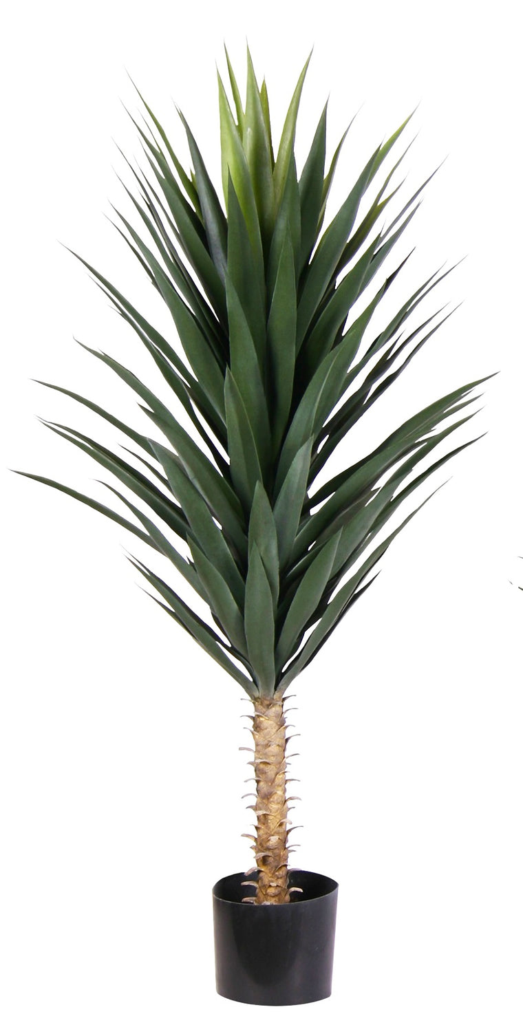 P1634-4.5GN