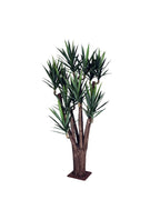 P1637-BLUE AGAVE TREE