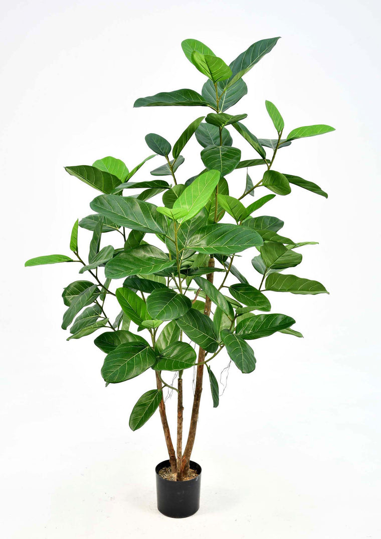 P1660-3