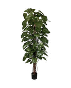 P1661-GIANT POTHOS PLANT ON POLE