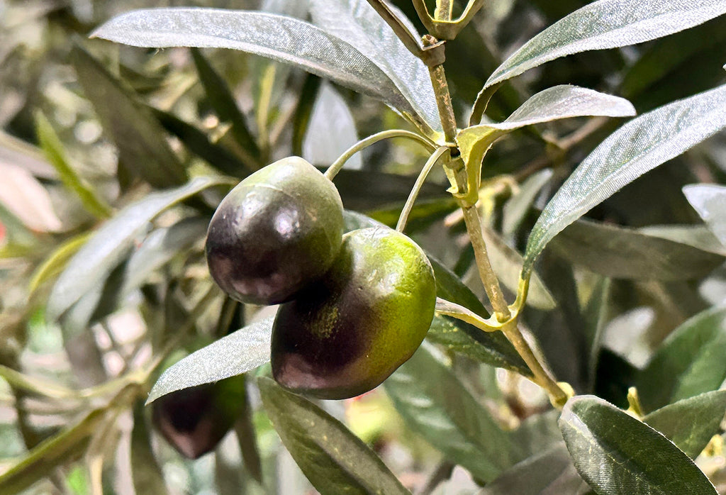 P1671 - CALIFORNIA OLIVE TREE X9 W/12818LVS,186