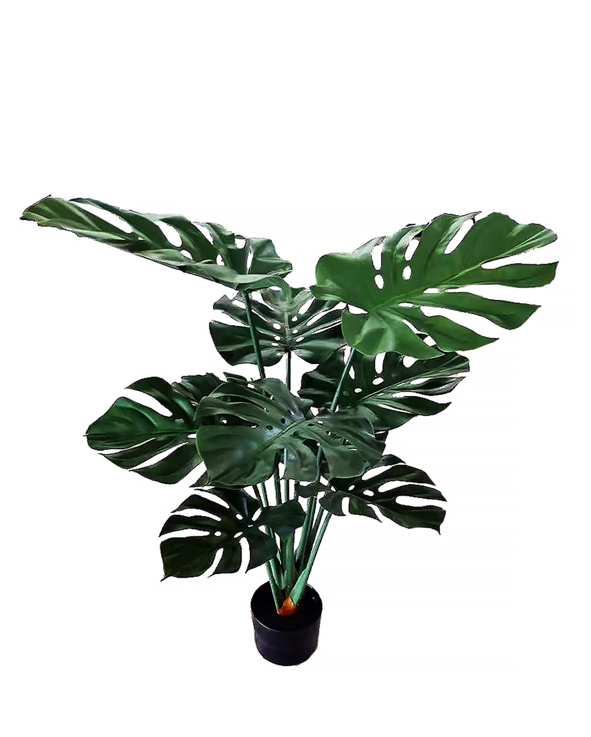 P1693UV - RESISTANT SPLIT PHILO PHILODENDRON/MONSTERA WITH 10 LEAVES