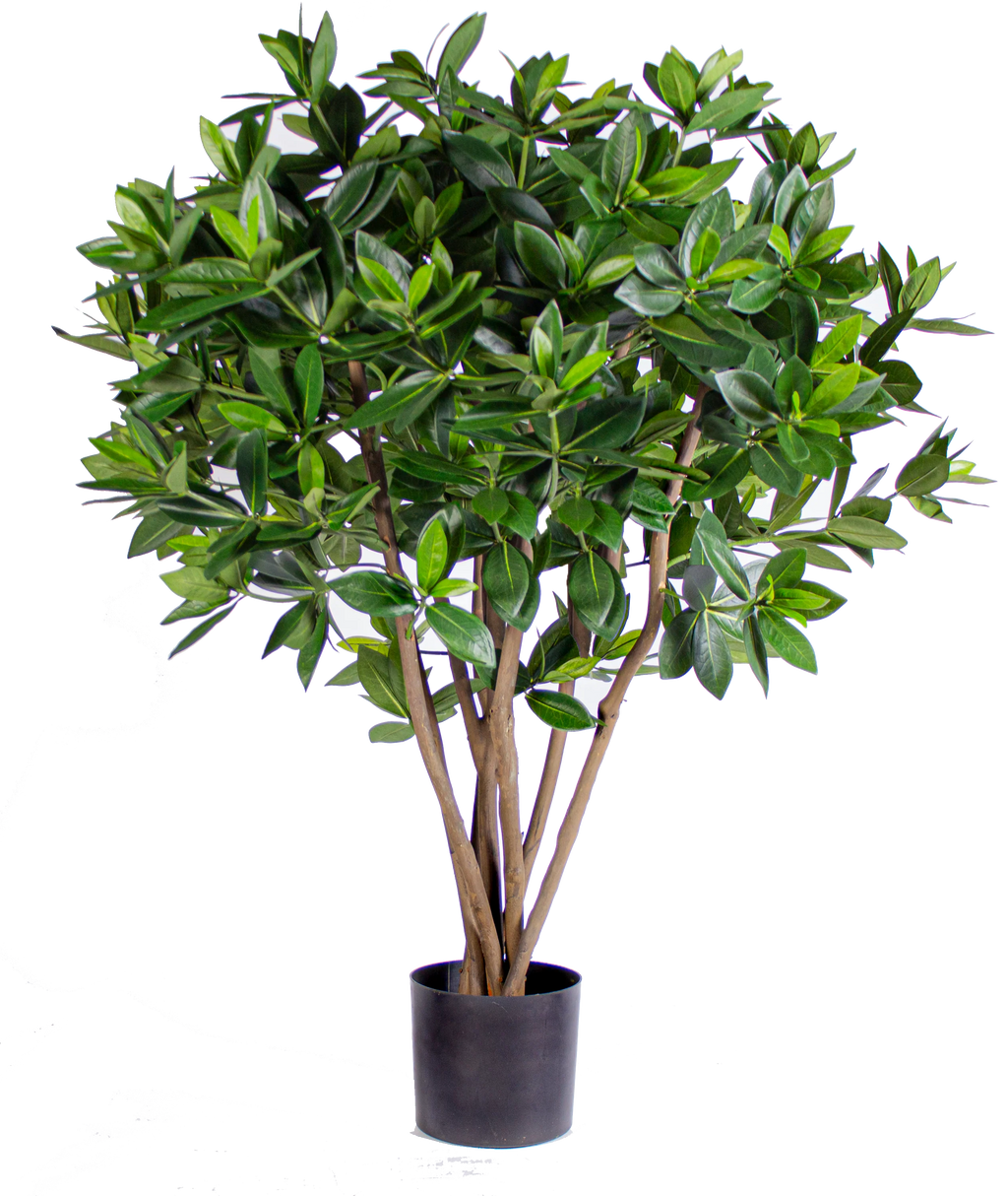 P1719-SWEET LINK TREE