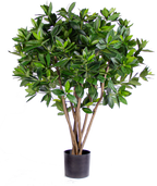 P1719-SWEET LINK TREE