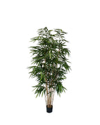 P1730-PANDA BAMBOO TREE