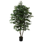 P1760-MINI FICUS TREE