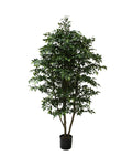 P1760-MINI FICUS TREE