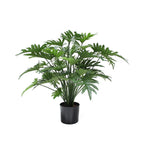 P1782-SPLIT PHILO BUSH