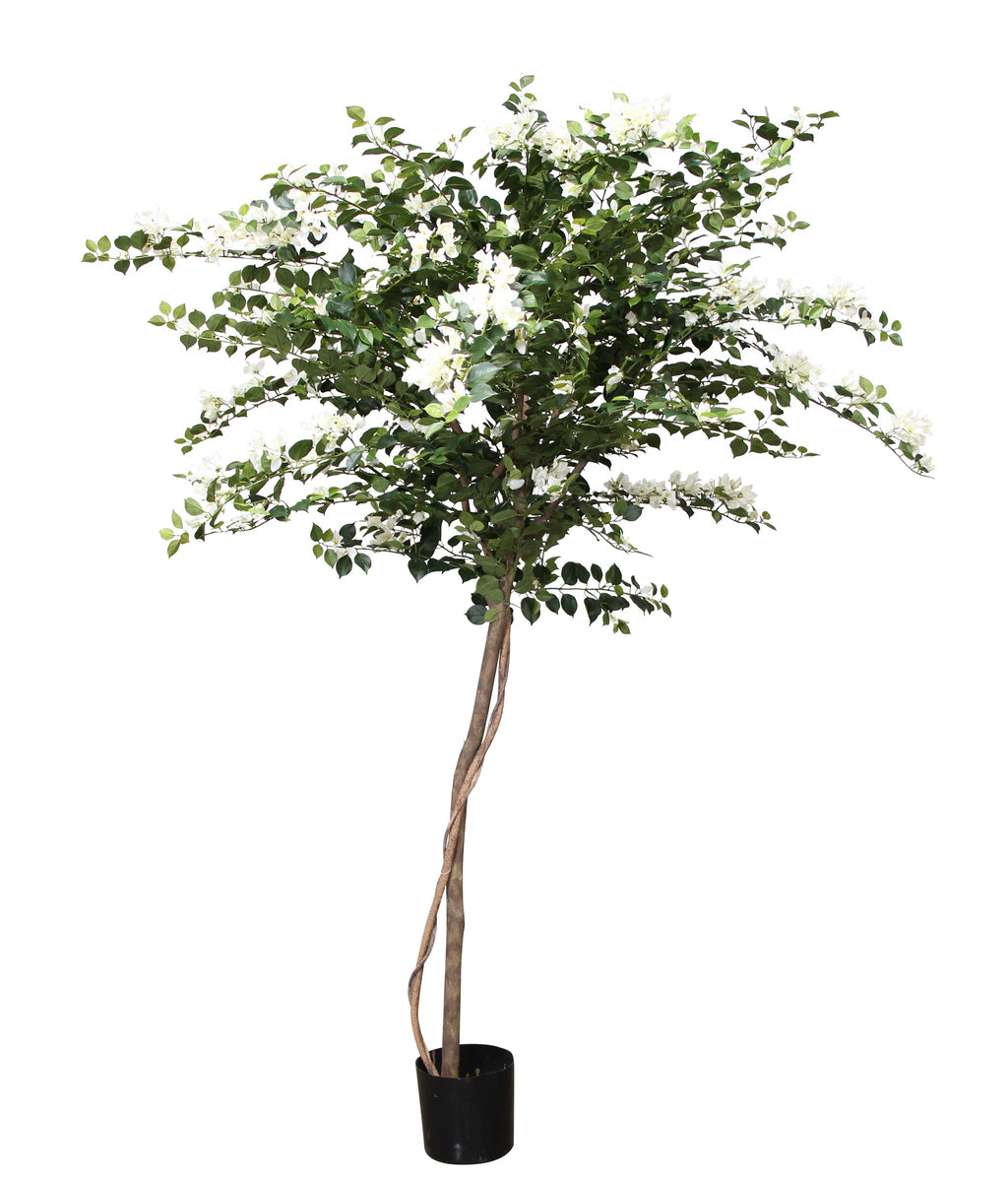 P1790-PTD ASIAN BOUGAINVILLEA TREE W/2940LVS  WH