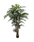 P1796-NEW BAMBOO PALM