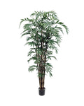 P1796-NEW BAMBOO PALM