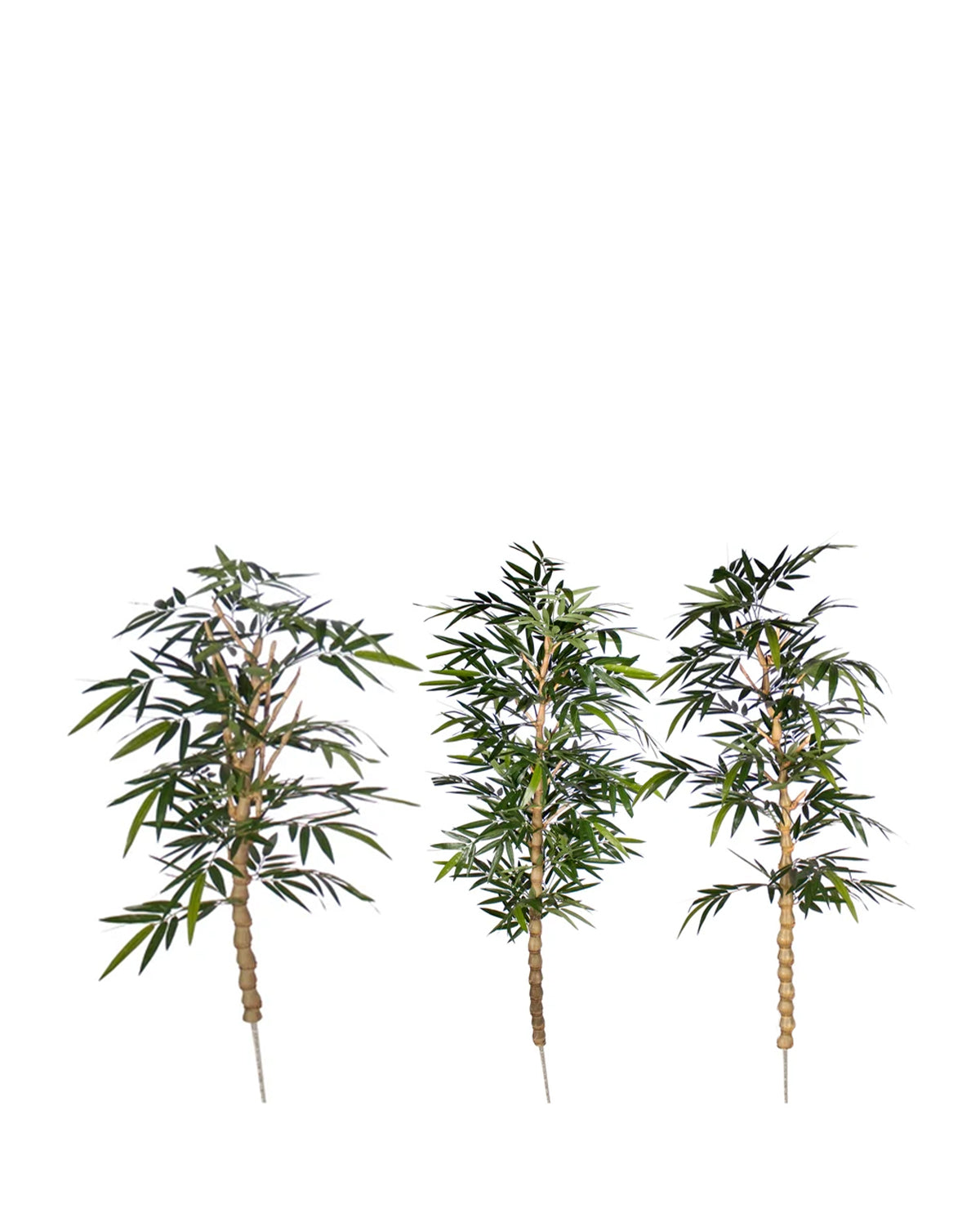 P1799A-6 - SINGLE BUDDA BAMBOO TREE SET OF 3