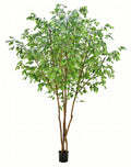 P1800-OAK TREE