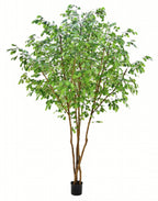 P1800-OAK TREE