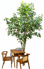 P1800-OAK TREE