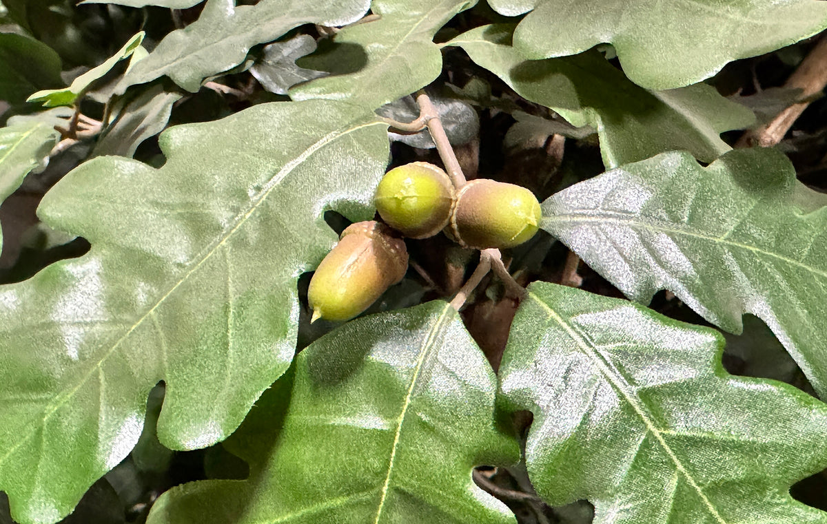 P1800-OAK TREE
