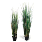 P1827-MOUNTAIN GRASS