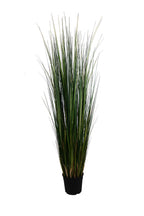 P1827-MOUNTAIN GRASS