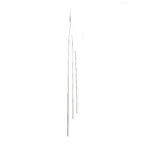 P1854 - LUCKY BAMBOO STEM  WINE