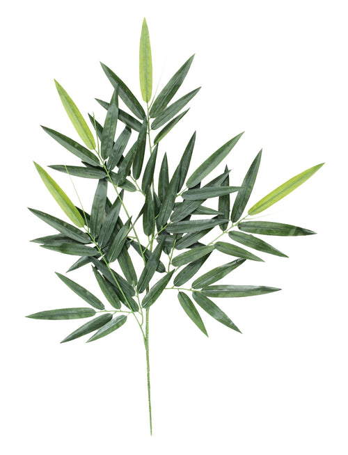 P2813-BAMBOO SPRAY