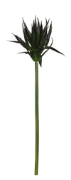 P2827