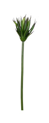 P2827