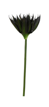 P2827
