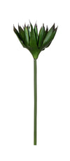 P2827