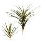 P2830 -  YUCCA HEAD BUSH W/30LVS