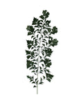 P2852-FISHTAIL PALM FROND