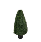 P3021-POND CYPRESS TOPIARY
