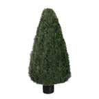 P3021-POND CYPRESS TOPIARY
