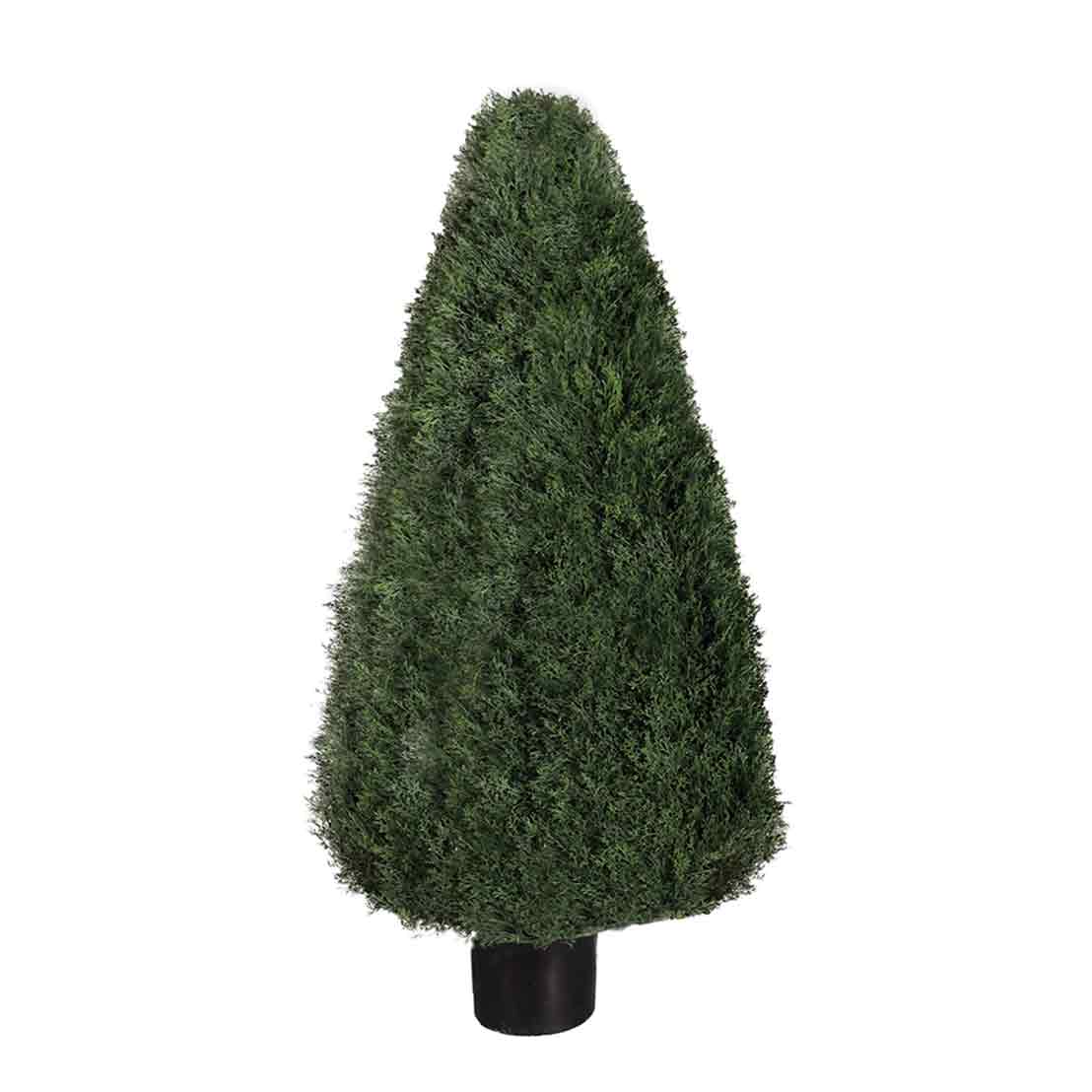 P3021-POND CYPRESS TOPIARY
