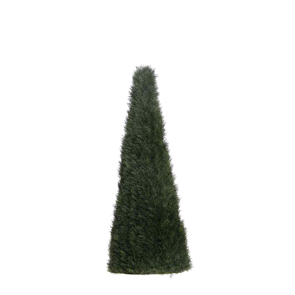 P3021N - UNPTD POND CYPRESS TOPIARY W