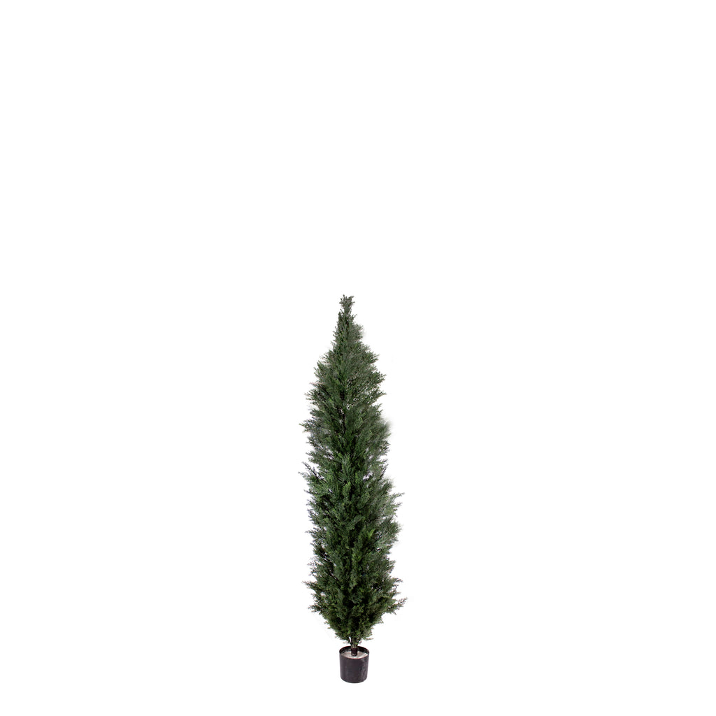 P3022-MINI CEDAR PINE TREE