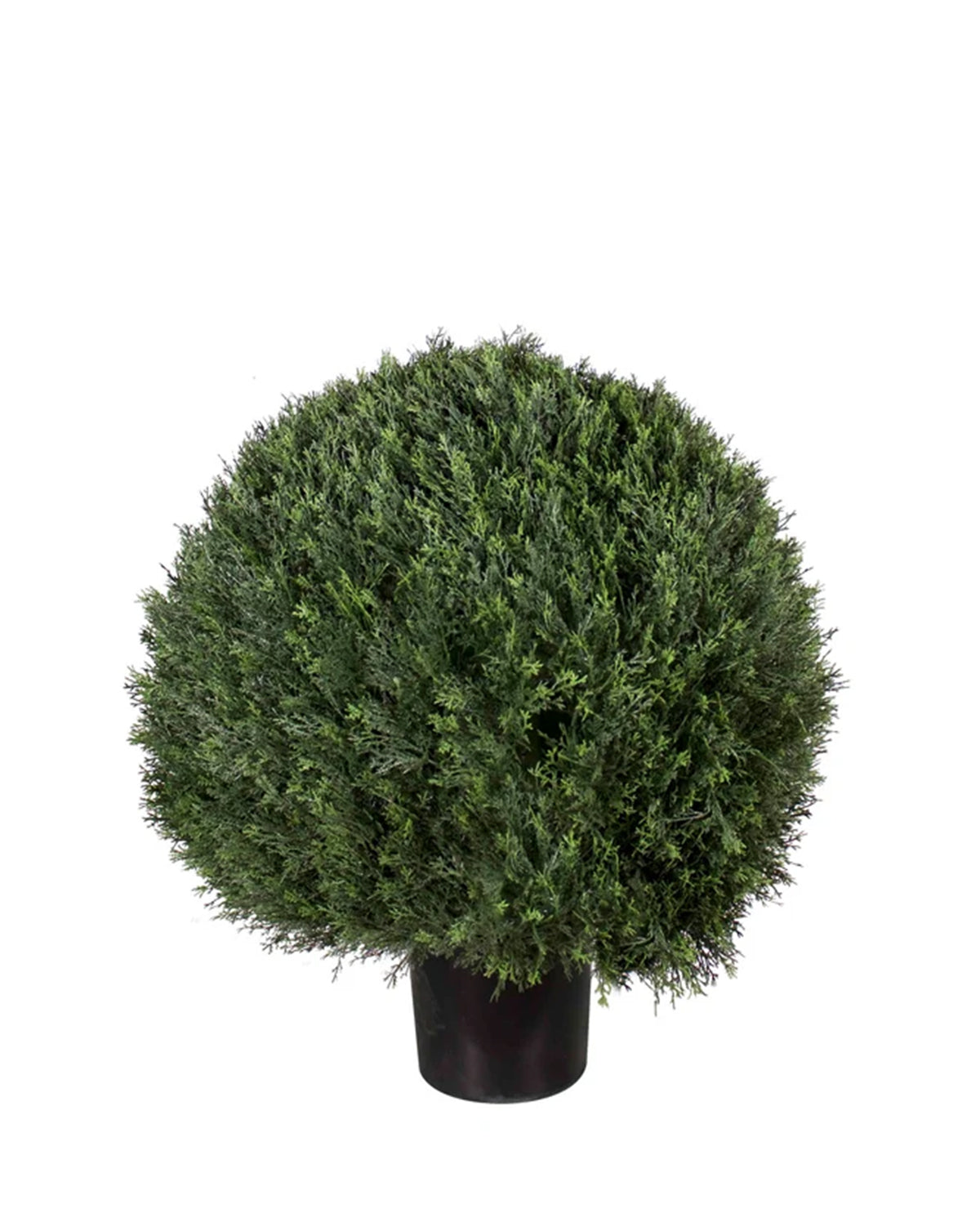 P3023-POND CYPRESS BALL TREE [UV/OUTDOOR]