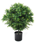 P3024-BASIL TOPIARY W/874LVS (UV/OUTDOOR)