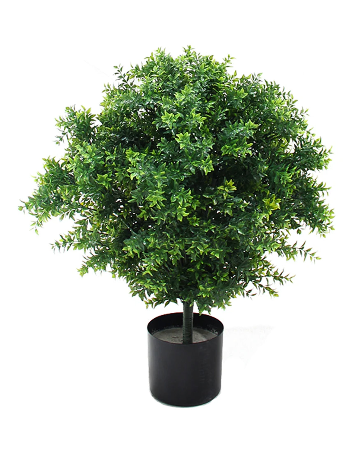 P3024-BASIL TOPIARY W/874LVS (UV/OUTDOOR)