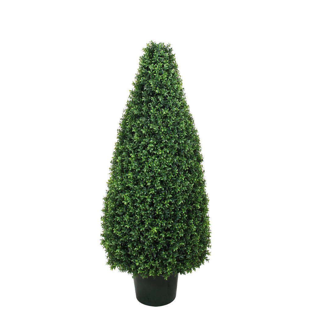 P3024C-BASIL CONE TOPIARY