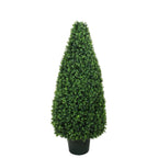 P3024C-BASIL CONE TOPIARY