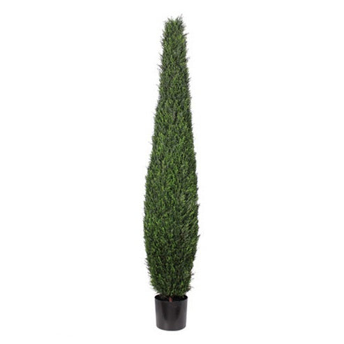 P3025-CYPRESS TREE TOWER