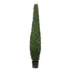 P3025-CYPRESS TREE TOWER