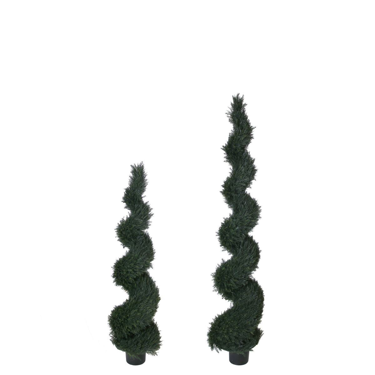 P3027-SPIRAL POND CYPRESS TREE (UV/OUTDOOR)
