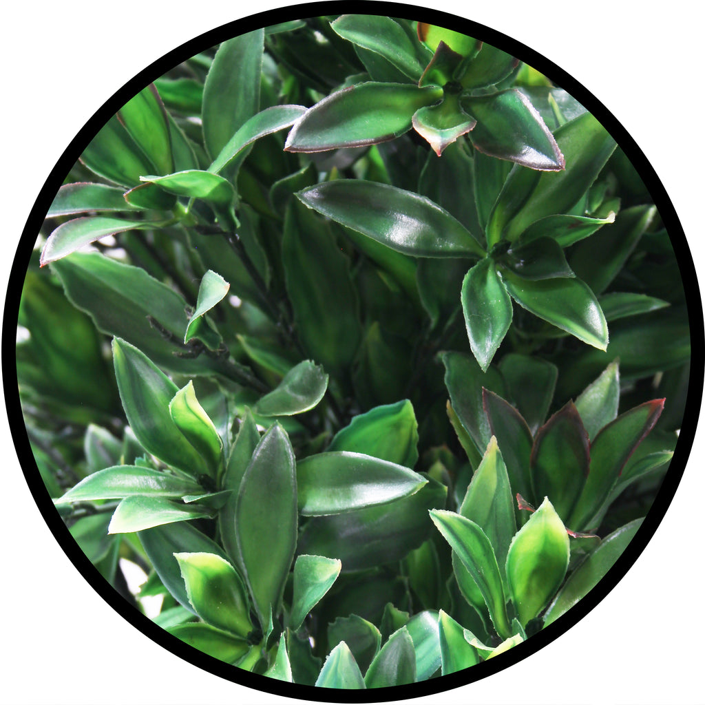 P3028-LAUREL