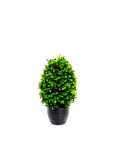 P3056-GYPSOPHILA