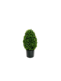 P3056-GYPSOPHILA