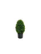 P3056-GYPSOPHILA